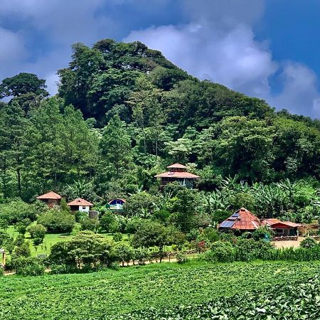 芬卡奈比那德尔博斯克山林小屋 Estelí 外观 照片