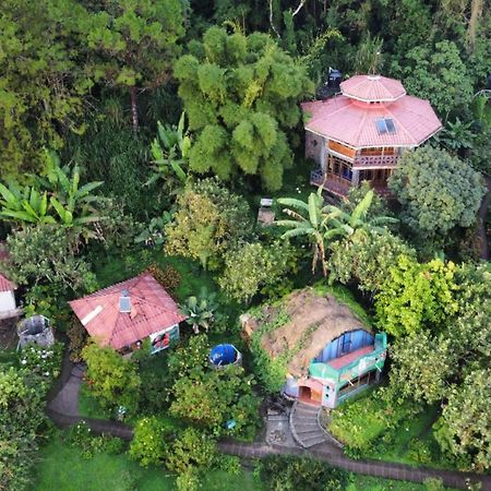 芬卡奈比那德尔博斯克山林小屋 Estelí 外观 照片