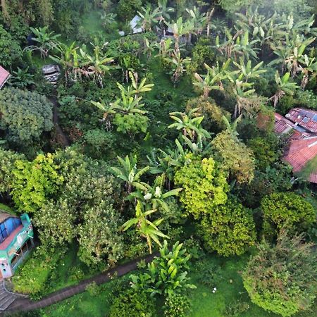 芬卡奈比那德尔博斯克山林小屋 Estelí 外观 照片
