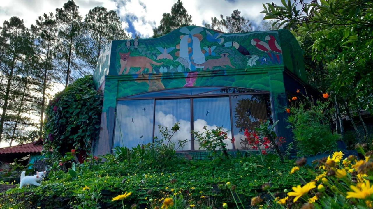 芬卡奈比那德尔博斯克山林小屋 Estelí 外观 照片
