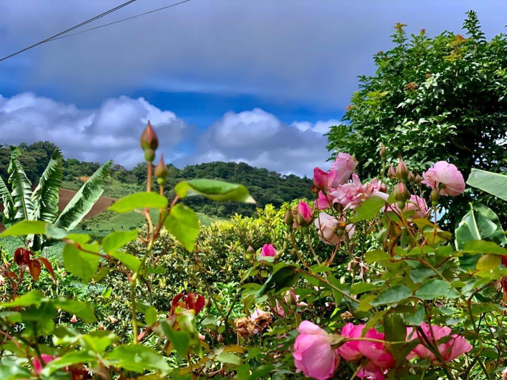 芬卡奈比那德尔博斯克山林小屋 Estelí 外观 照片