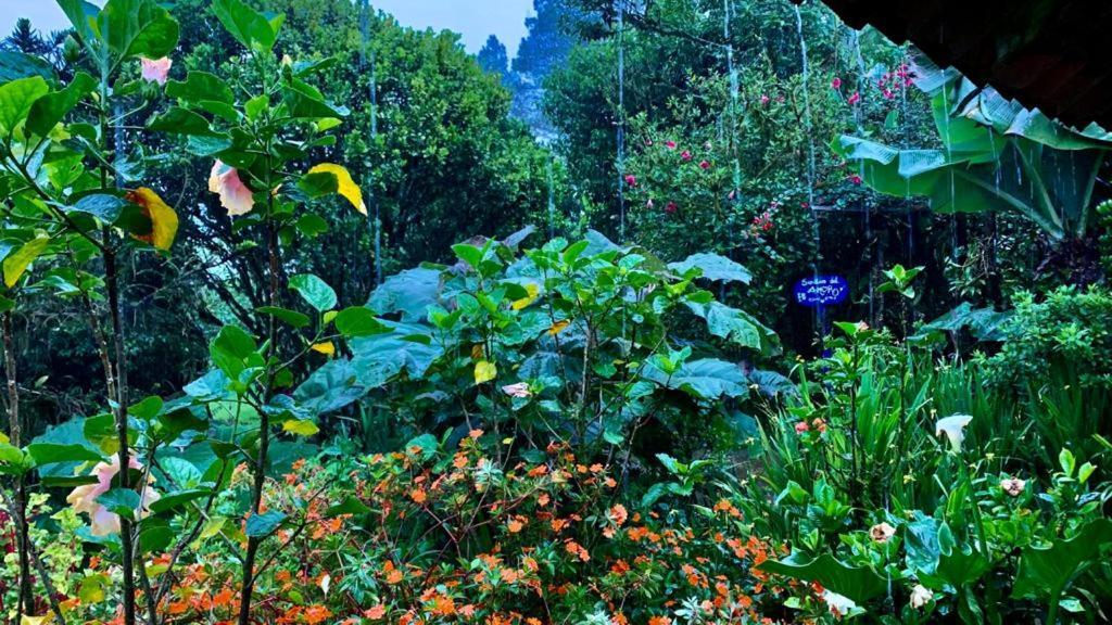 芬卡奈比那德尔博斯克山林小屋 Estelí 外观 照片