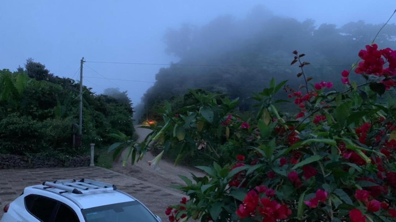 芬卡奈比那德尔博斯克山林小屋 Estelí 外观 照片