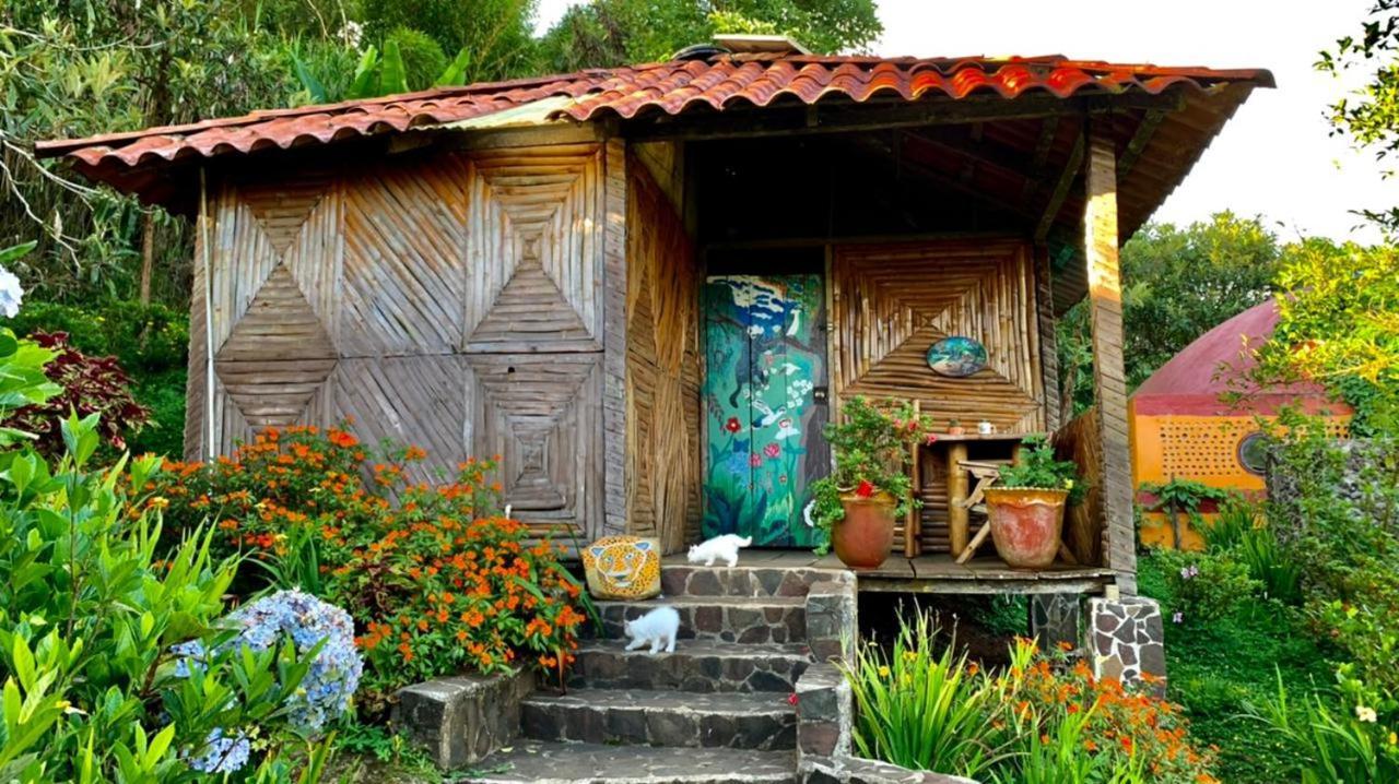 芬卡奈比那德尔博斯克山林小屋 Estelí 外观 照片
