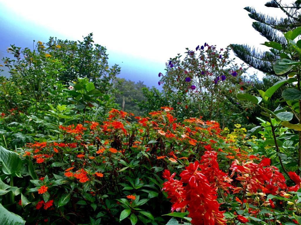 芬卡奈比那德尔博斯克山林小屋 Estelí 外观 照片