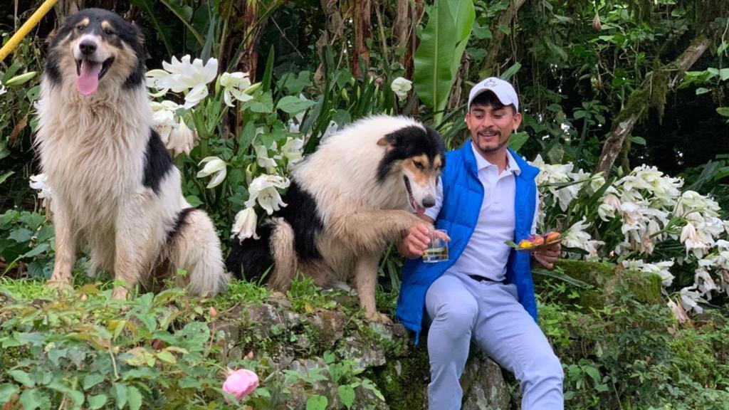 芬卡奈比那德尔博斯克山林小屋 Estelí 外观 照片