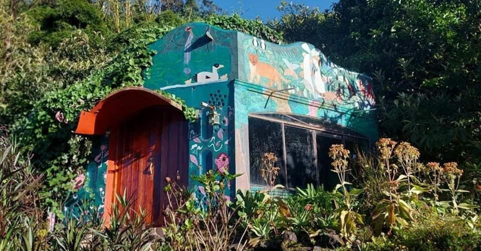 芬卡奈比那德尔博斯克山林小屋 Estelí 外观 照片