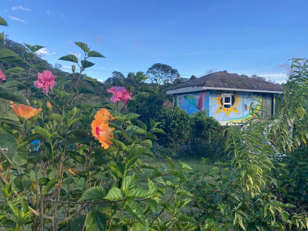 芬卡奈比那德尔博斯克山林小屋 Estelí 外观 照片