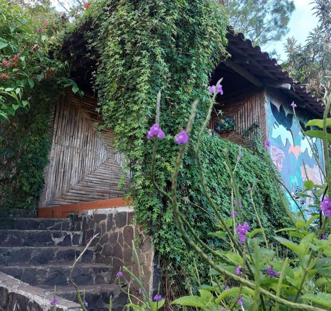 芬卡奈比那德尔博斯克山林小屋 Estelí 外观 照片